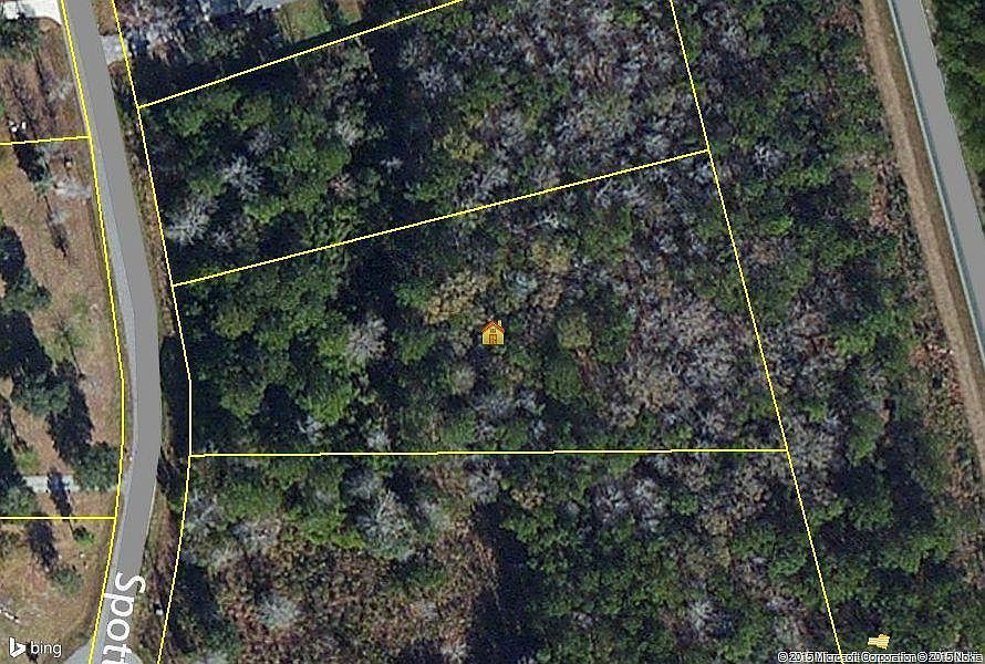 2nd image of 222 Spotted Owl Ln