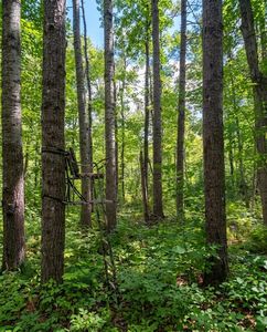 64838 Kingsdale Rd, Sandstone, MN, 55072