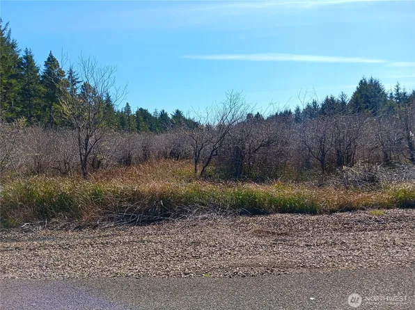 1610 147th Place, Long Beach, WA 98631