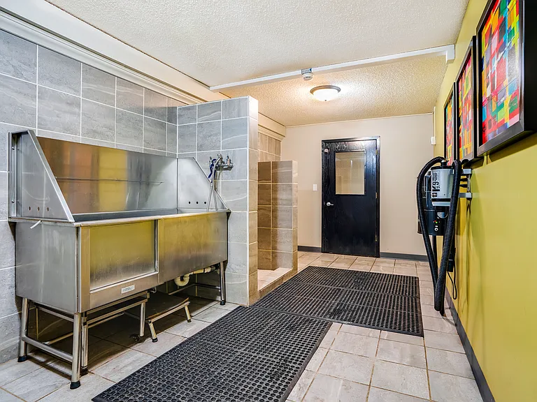 Indoor Doggie Cleaning Station