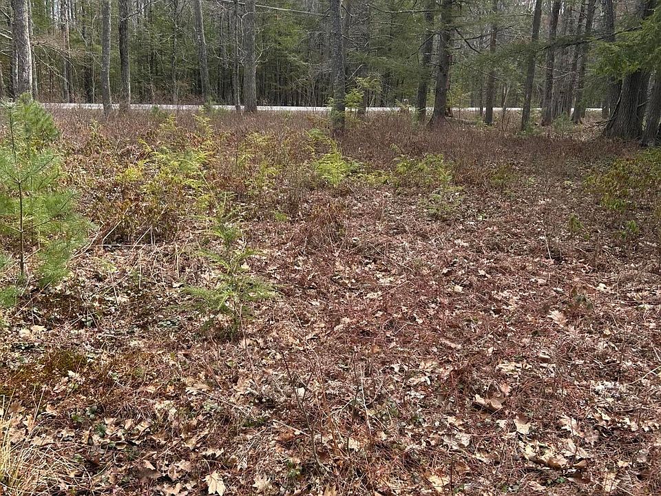 2nd image of Lot 62 Branch Road