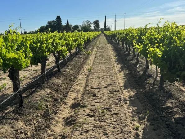 11325 S Cornelia Ave, Caruthers, CA 93609