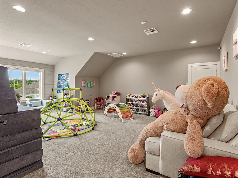 Playroom/Media Room