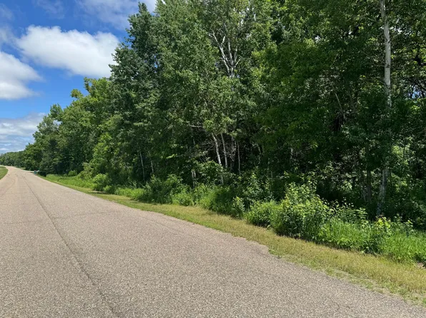 Springbrook Dr, Swanville, MN 56382