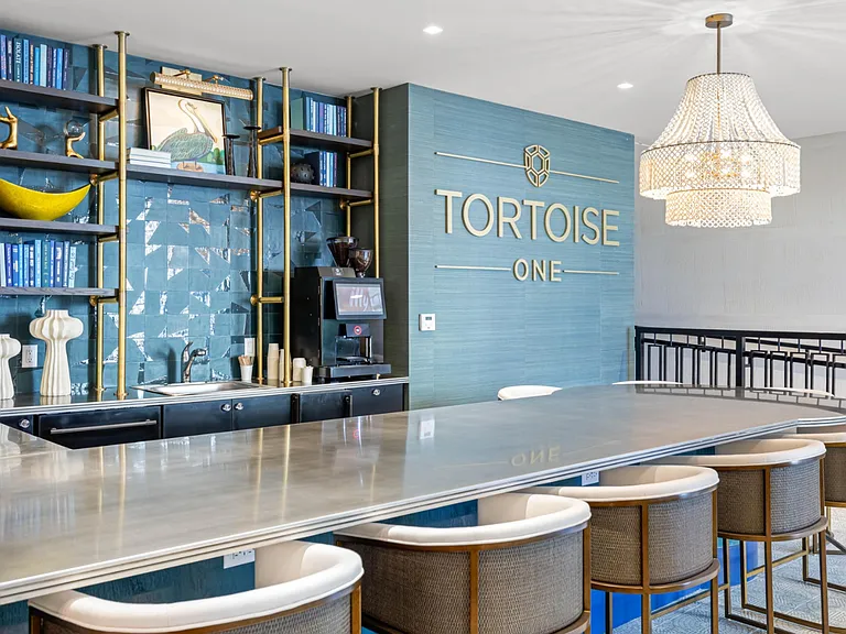 Tortoise One — Photo 25