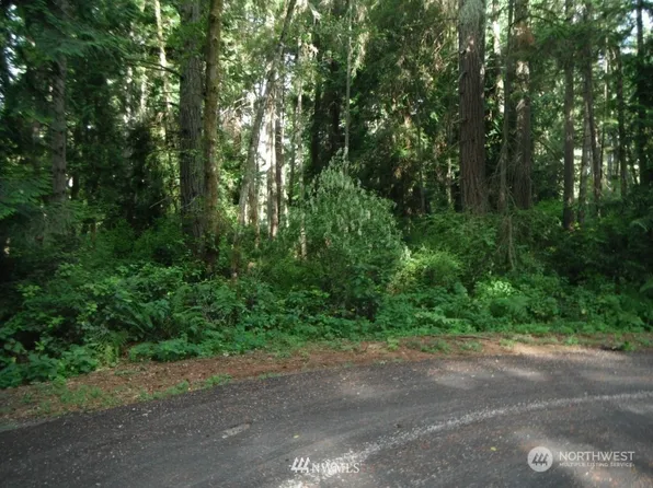 10525 105th Ave Ct, Anderson Island, WA 98303