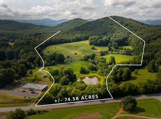 142 Thomason Rd, Cleveland, GA 30528