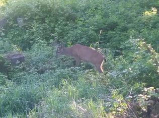 414 Rainbow Rd, Snohomish, WA 98290