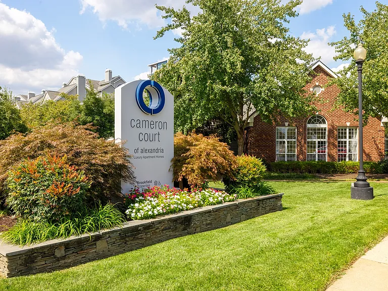 Cameron Court — Photo 39
