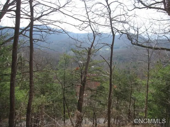 99999 W Black Oak Dr, Asheville, NC 28804