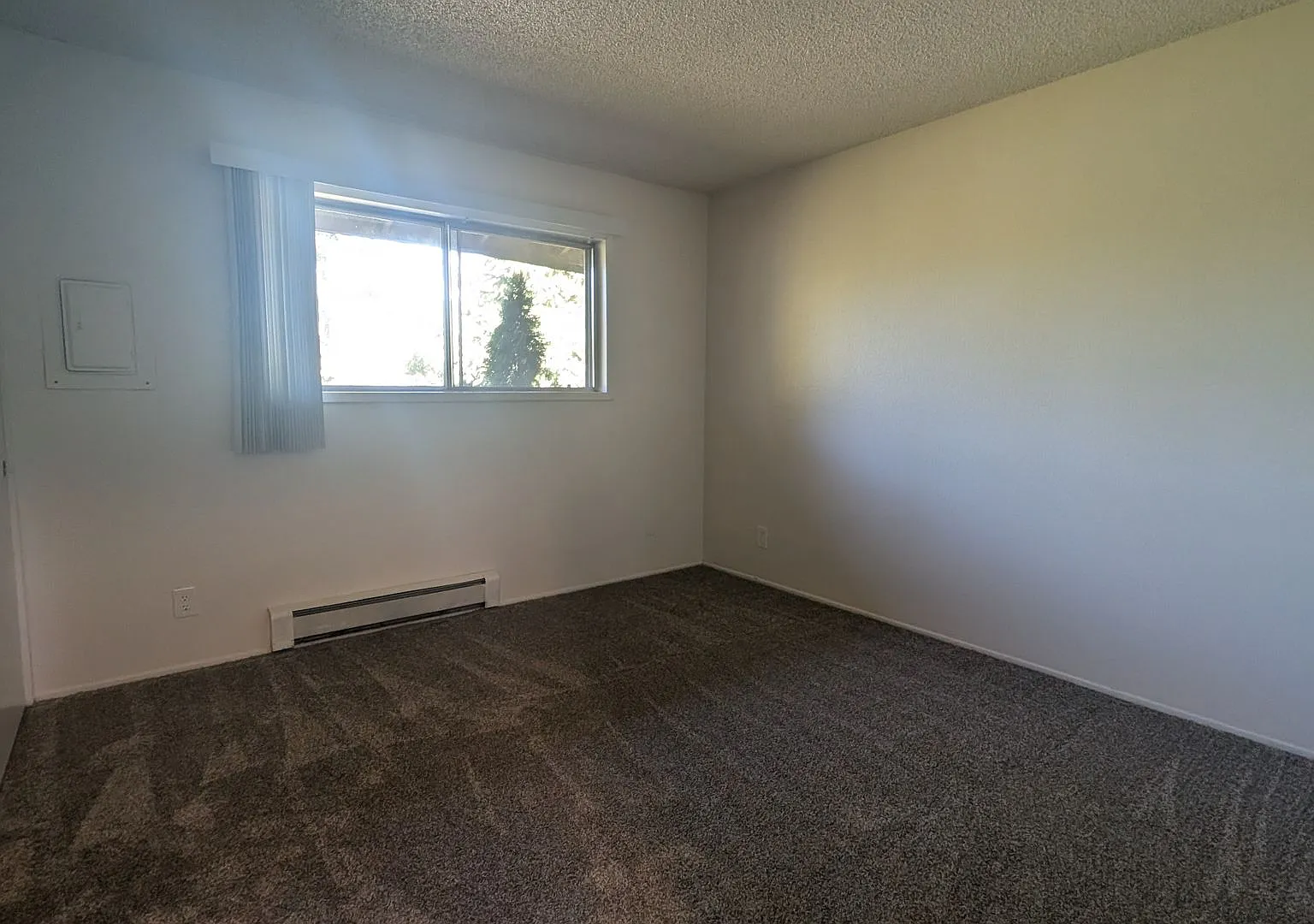 Windsor Court Apartments — Photo 2