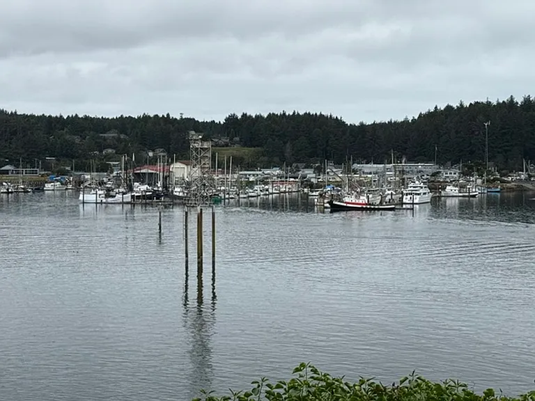 91251 Cape Arago Hwy — Photo 52