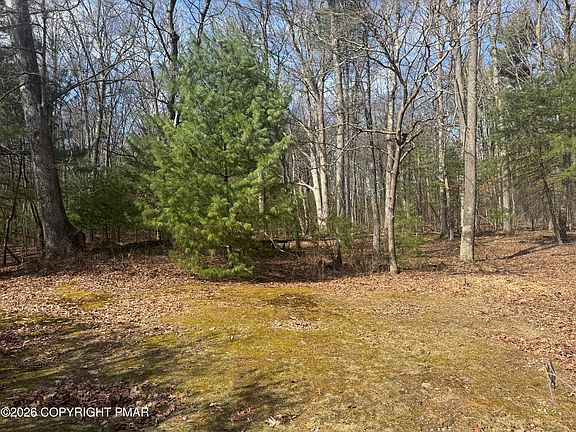 4th image of 1369 Twin Pine Rd