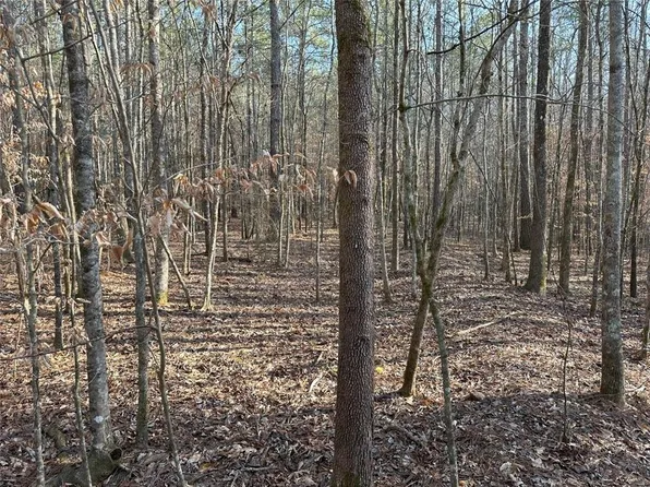 0 Mud Green Rd Tract 7, Temple, GA 30179
