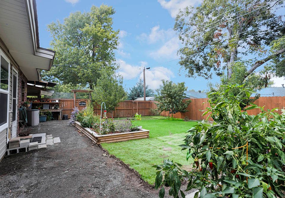 Yard and Veggie Garden