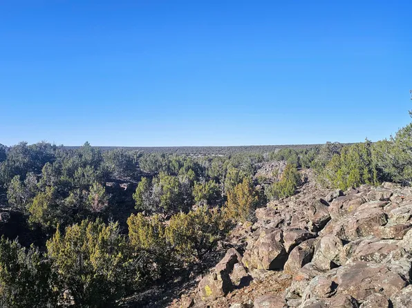 9383 Bald Eagle Rd, Show Low, AZ 85901