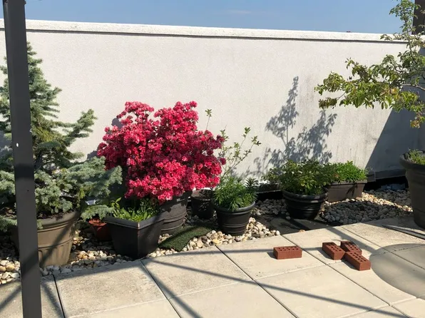 1927 78th Street image 18 of 24