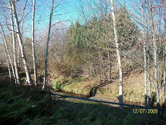 Peaceful setting of Larson Creek from backyard