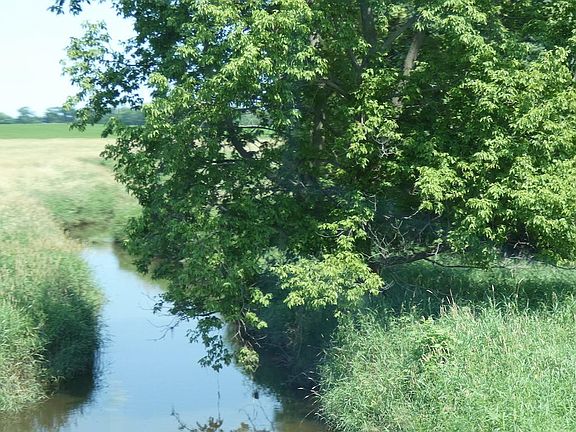 2nd image of 10355 County Road 52
