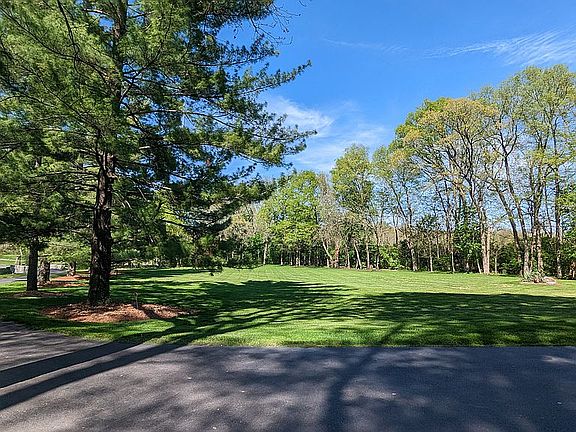 Large pine trees line drive.
