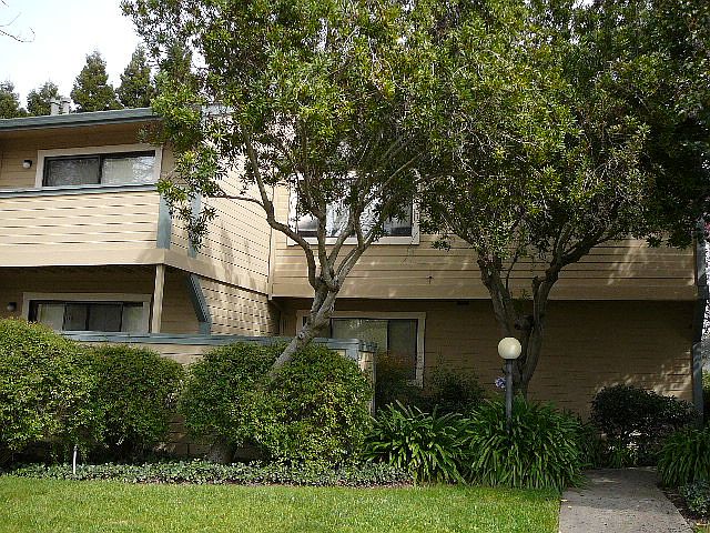 Mature trees and well maintained landscaping