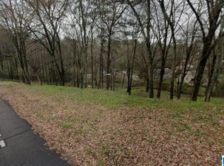 2007 14th Way SW #NA, Birmingham, AL 35211