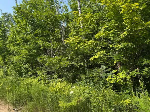 LOT 387 Greenway Dr, Frederic, MI 49733