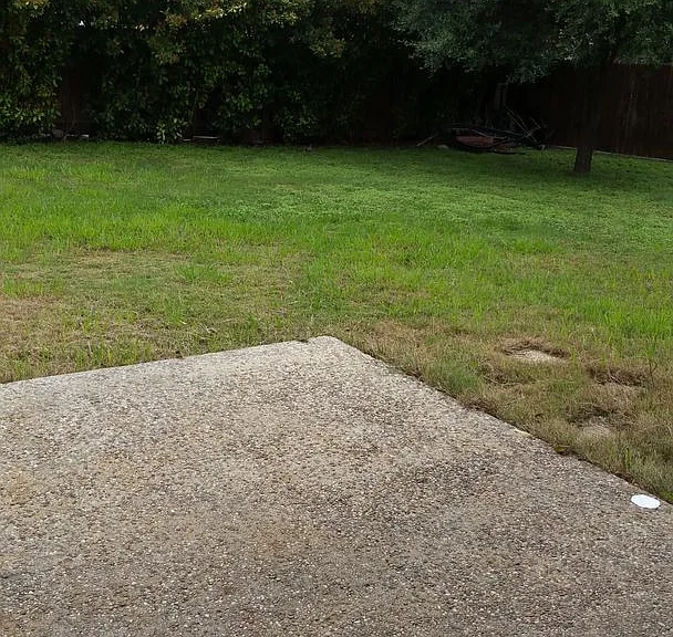 311 Waxwood Ln — Photo 12