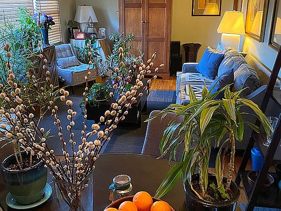 Living Room 2