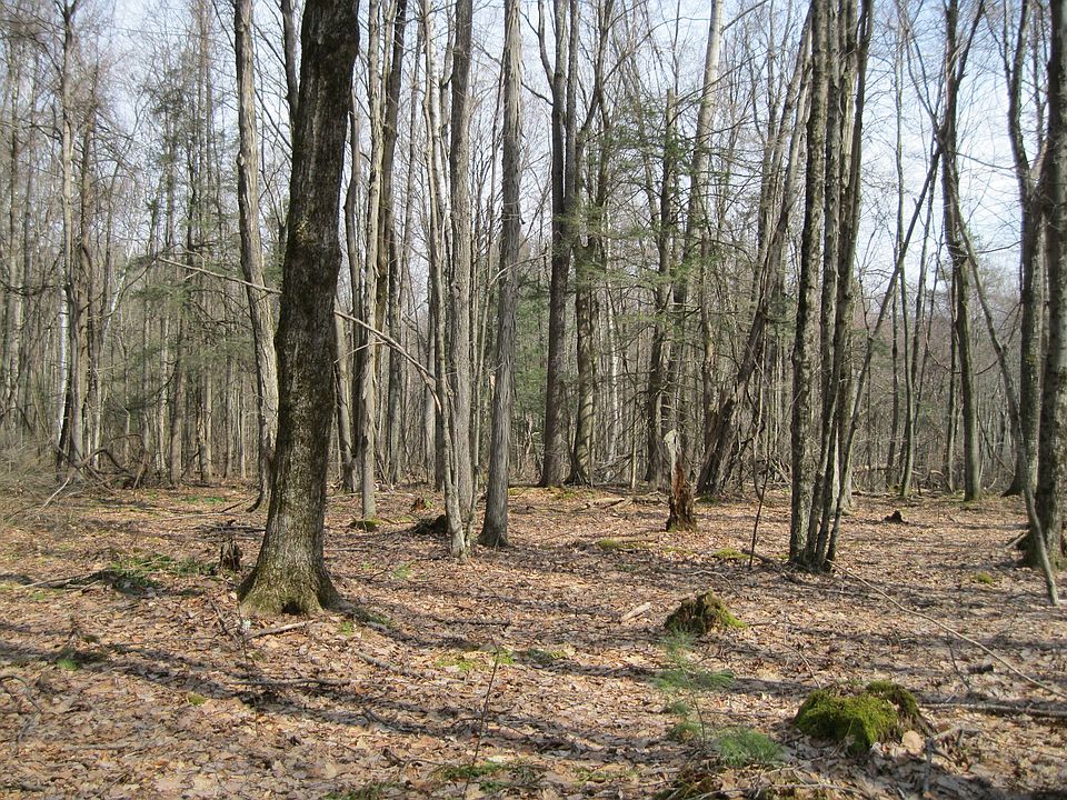 1st image of 0 Mohawk Lake Rd