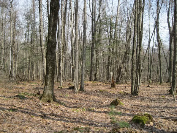 0 Mohawk Lake Rd, Stockbridge, MA 01262