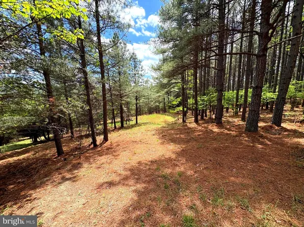LOT 10 Ashton Woods Dr, Moorefield, WV 26836