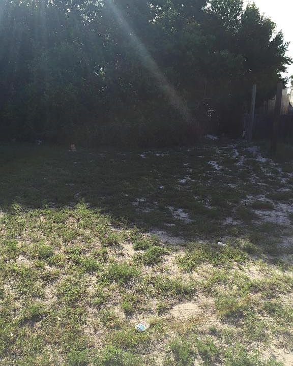 2nd image of 215 Toledo Pl
