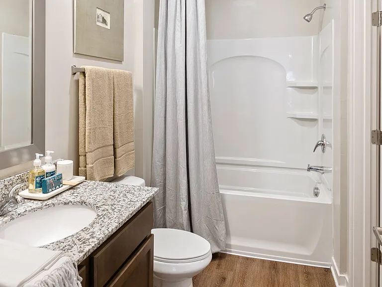 Full Bathroom View