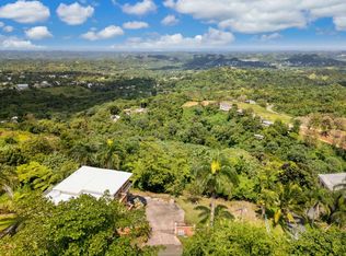 Carr 618 Km 4.5 Bo Cuchillas, Morovis, PR 00687