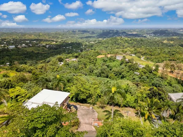 Carr 618 Km 4.5 Bo Cuchillas, Morovis, PR 00687