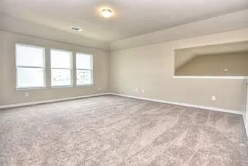 917 Swan Flower St — Photo 33