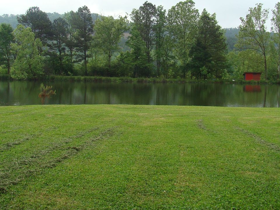 Lake & animal shelter