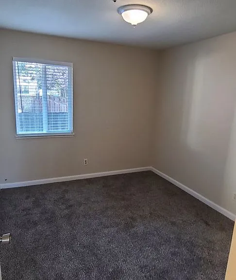 850 E Cotati Ave #4 — Photo 10