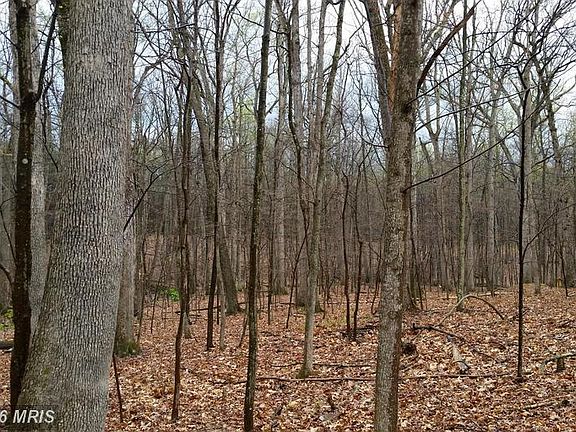 3rd image of 255 White Mule Ln