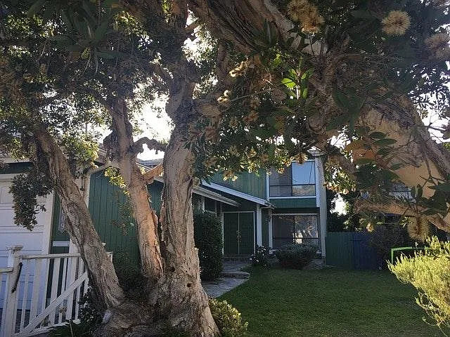 Exterior view 2