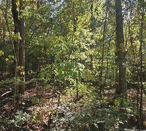 4th image of 0 County Road 82 #2