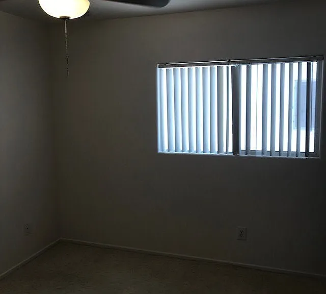 3955 Coyote Brush Ct — Photo 12