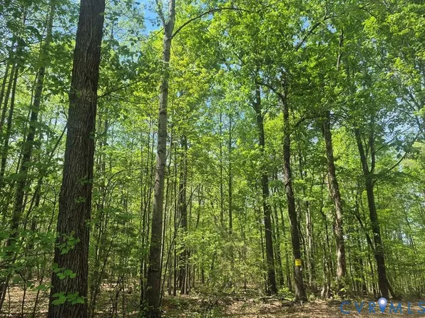 0 Deer Run Ln Lot 13, Cumberland, VA 23040