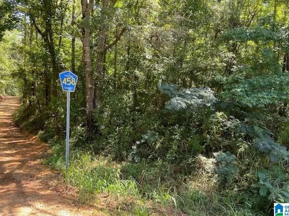 0 County Road 458 Rd #1, Clanton, AL 35046