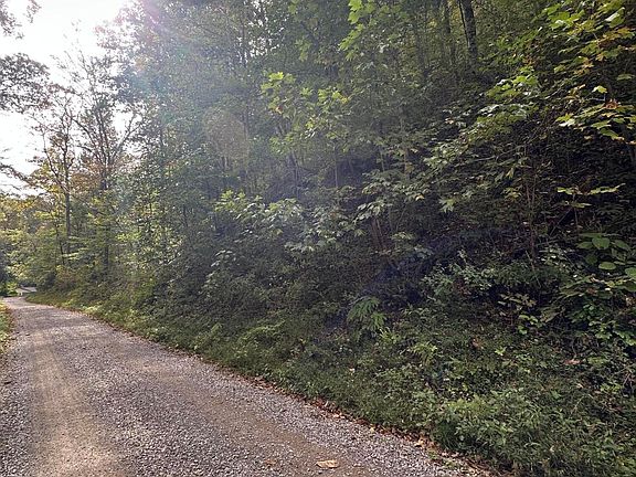 3rd image of 0 Bear Creek Rd
