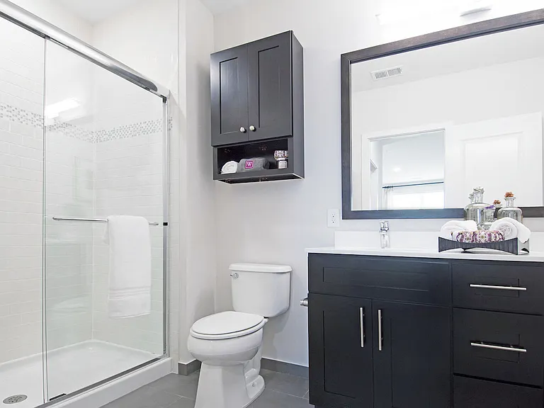 Lavish Bathrooms