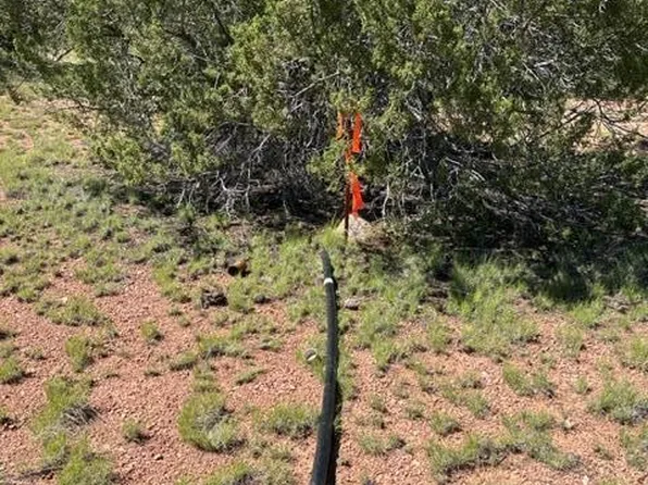 LOT-293N W North Flaming Star Dr, Seligman, AZ 86337