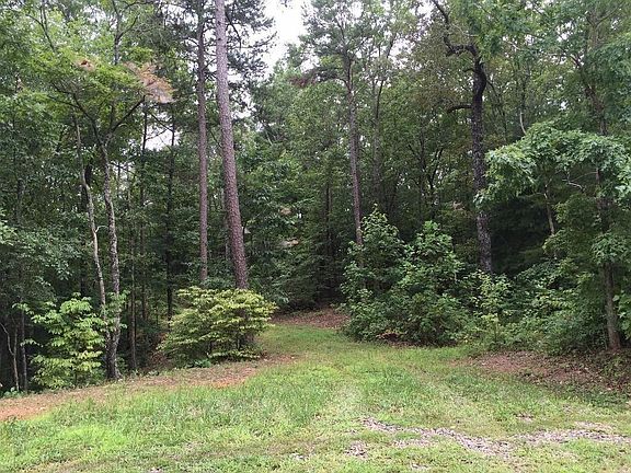 3rd image of 303 Cove Lake Dr