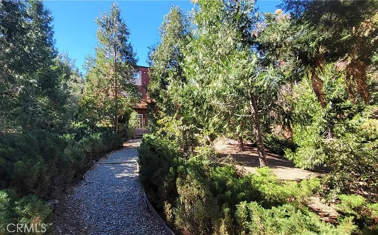 1317 Pinetree Dr — Photo 49
